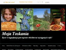 Tablet Screenshot of aleksandraseghi.com
